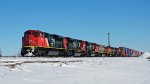 CN 8803